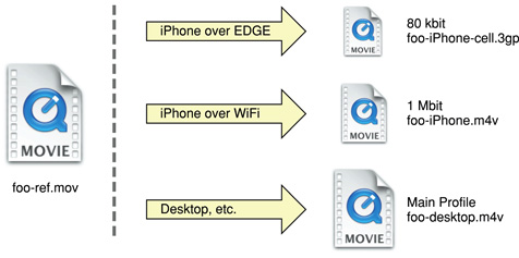 Reference movies appropriate to various user platforms