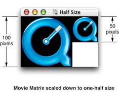 A movie matrix scaled down to one-half size