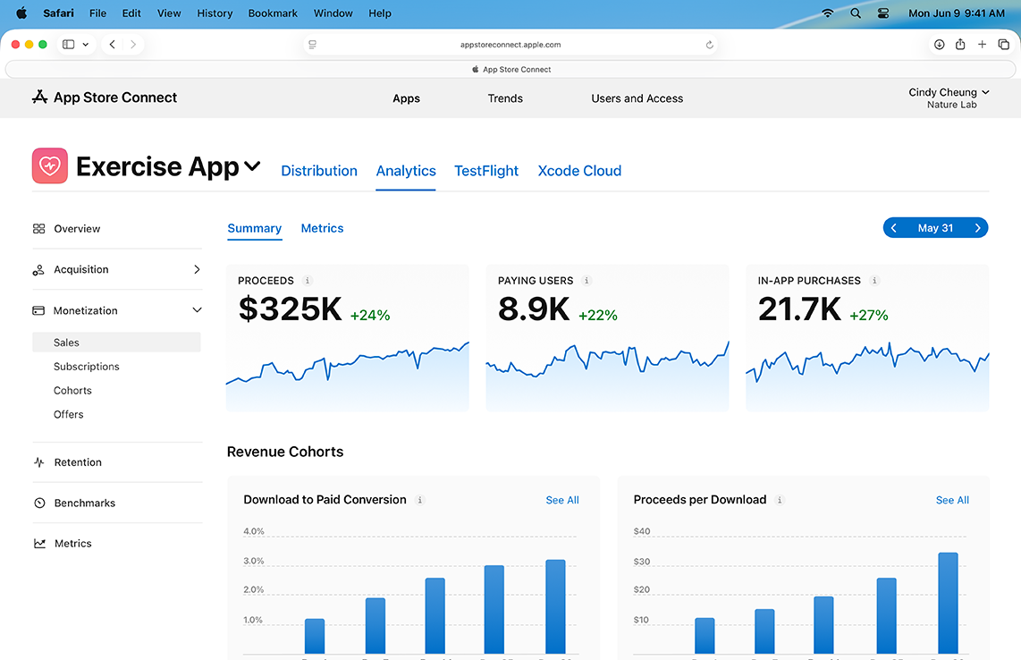 Screenshot of sales data visualization in Analytics