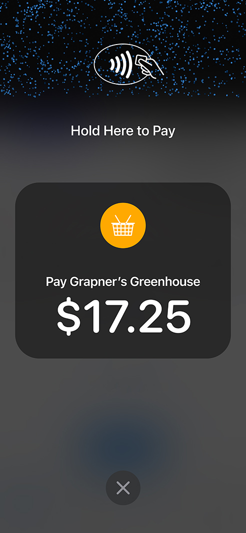 iPhone 13 Pro 显示购物车中的“Hold Here to Pay”(靠近此处付款)提示。