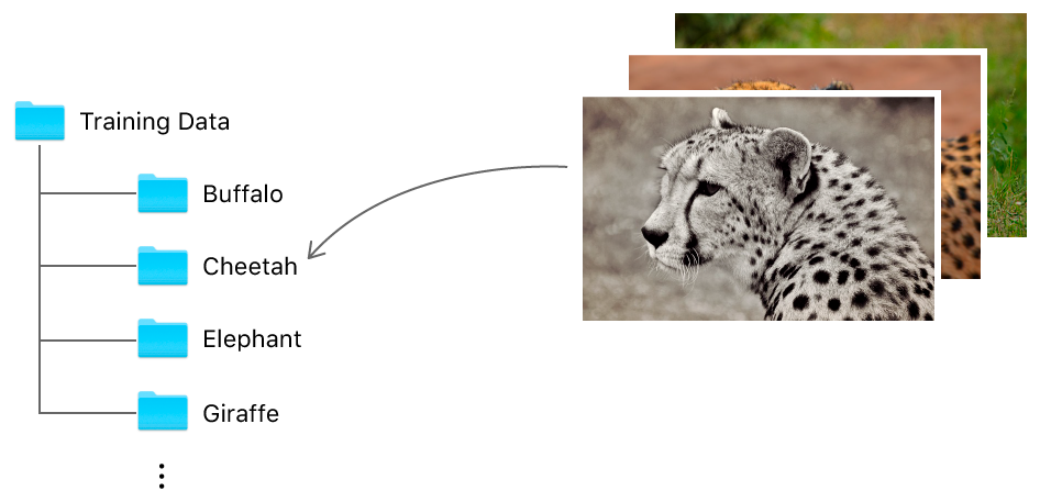 图表显示了一个名为“Training Data”的文件夹和其中的多个子文件夹，其中子文件夹的名称为所含图像类别对应的标签。例如，所有猎豹图像都存放在名为“Cheetah”的子文件夹中。
