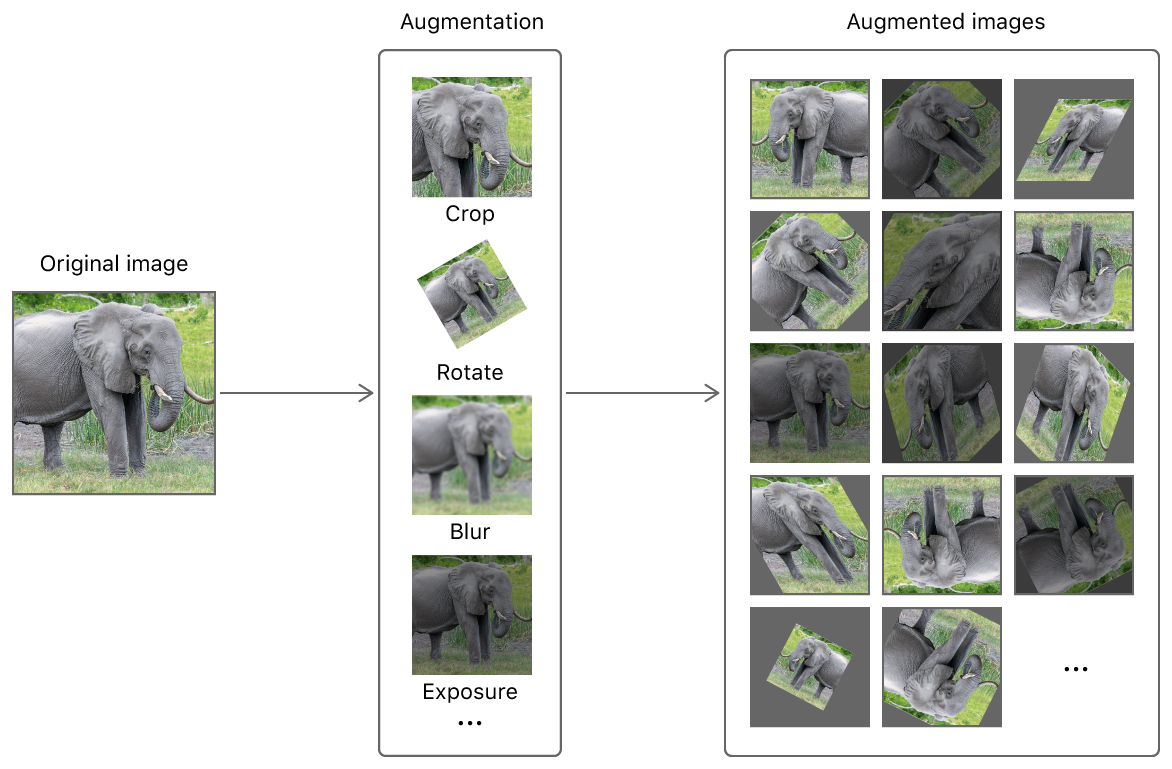 这张图显示了如何通过裁剪、旋转、模糊和曝光调整将一张大象图像制作成多张图像。