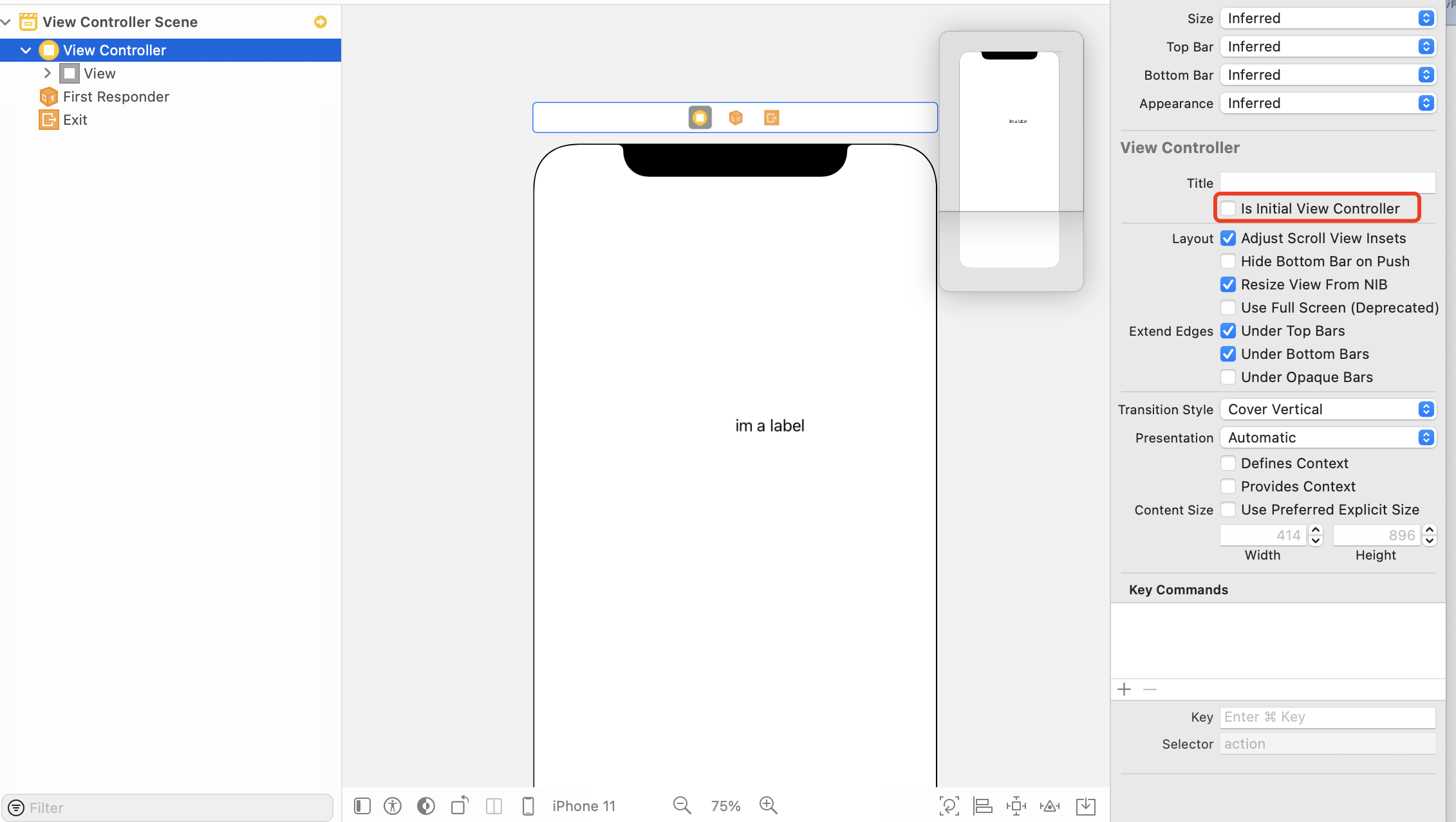 Xcode runs app show blank screen Apple Developer Forums