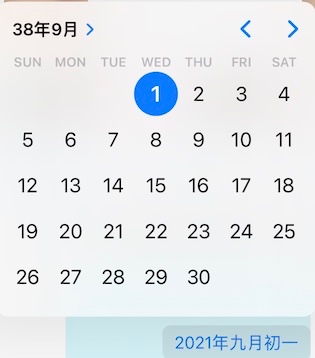 DatePicker bug.jpg