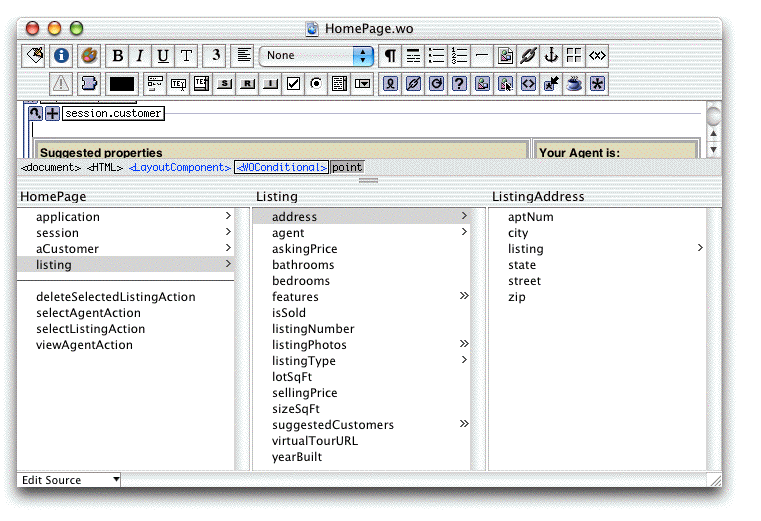Entity and attributes in WebObjects Builder