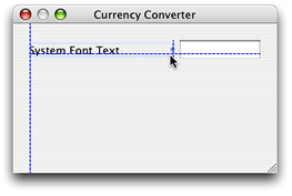 Resizing the label field for the exchange rate