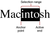 The anchor point and active end of a selection range