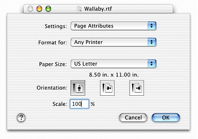 The Page Setup Dialog