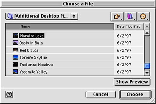 Choose a File dialog box