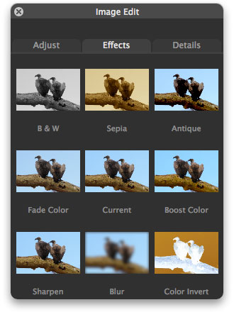 The Effects pane of the Image Edit panel