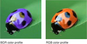 Applying a BGR and an RGB color profile to the same image