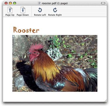 A PDF document displayed by the PDFViewer sample application
