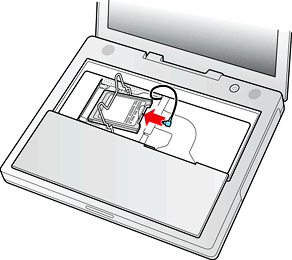 The AirPort Card and antenna cable