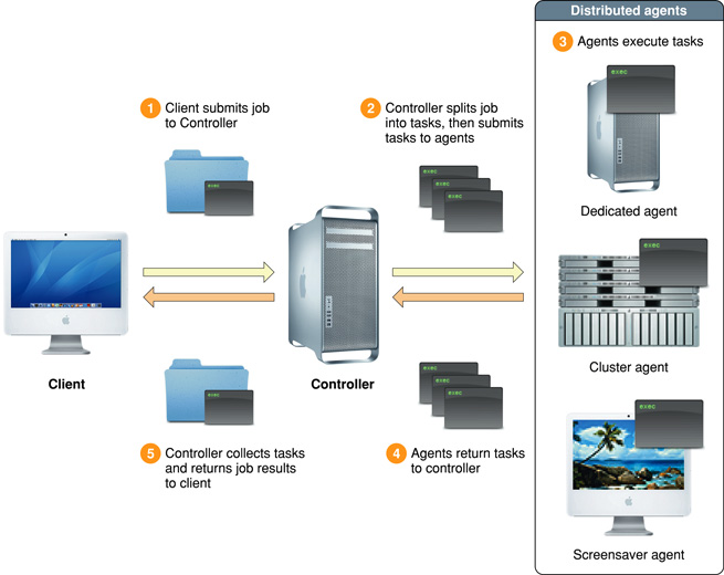 Diagram of Xgrid client, controller, and agents