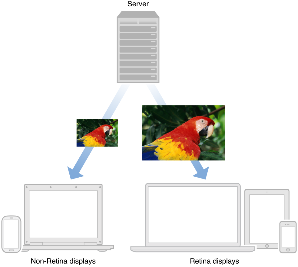 A server sending a standard-resolution image to non-Retina displays, and a high-resolution version of the same image to Retina displays.