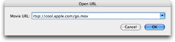 An Open URL dialog in the completed QTKitPlayer application