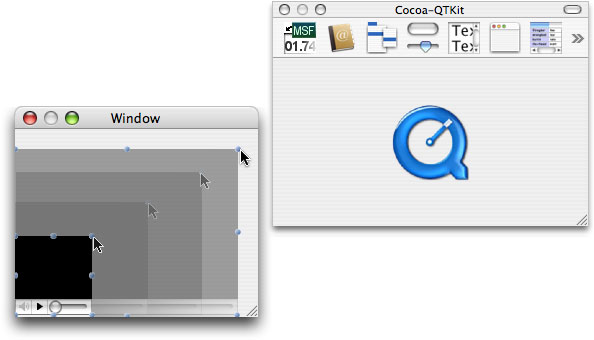 The QuickTime movie view object enlarged to fill the entire contents of the window