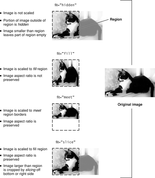 Scaling and cropping choices