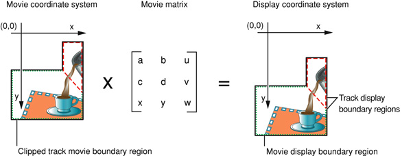 A movie transformed to the display coordinate system