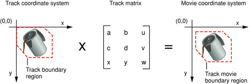 A track transformed into a movie coordinate system