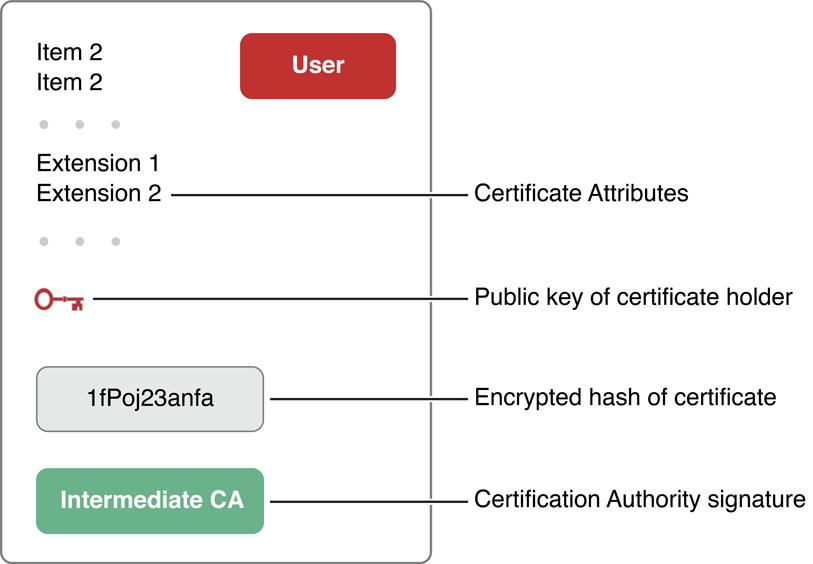 Anatomy of a digital certificate