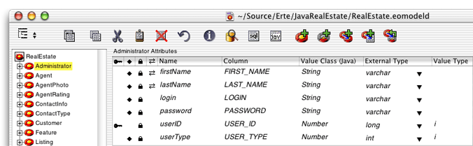 The Administrator entity selected in the tree view