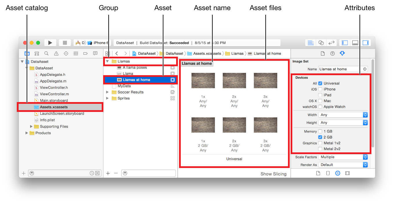 Unityex. Asset файл. Программа для открытия Asset. Assets где находится. Assets catalog.