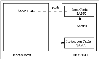 Write
         (Copyback Cache), Push, and Fetch