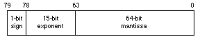 Figure 1. Software SANE Format (80-Bit).