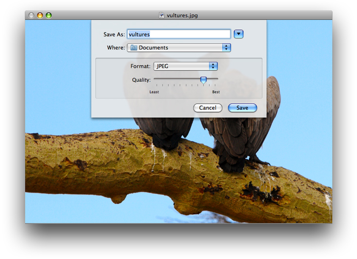 A Save As dialog with options for saving image formats.