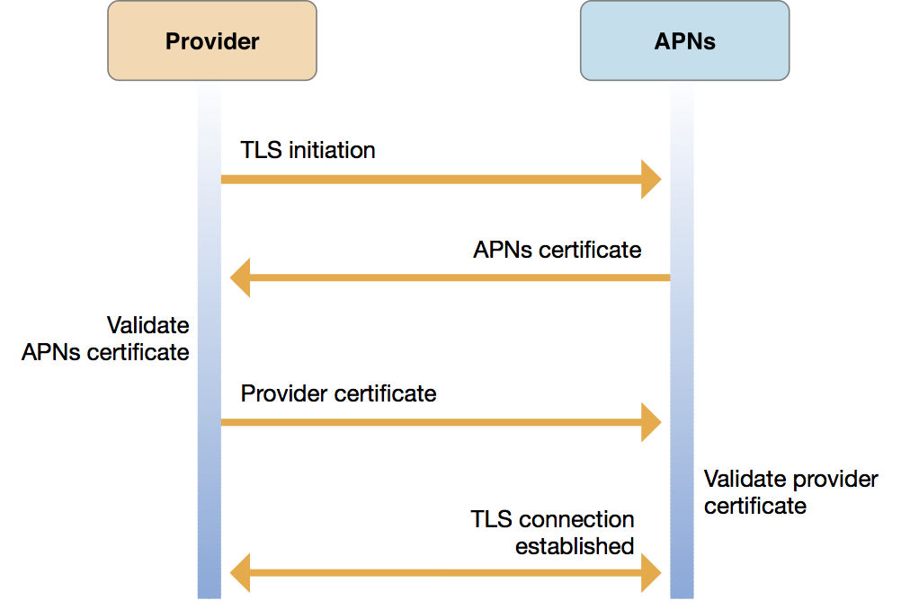 Establishing certificate-based connection trust between a provider and APNs
