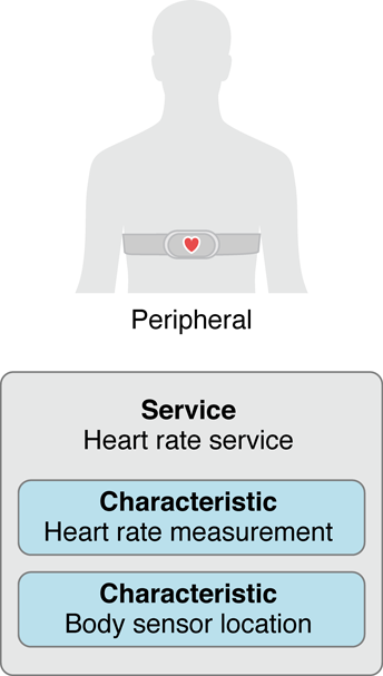 A peripheral's service and characteristics
