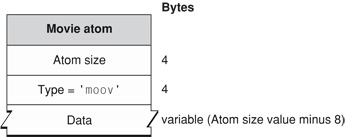 Atom layout