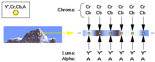 Figure 2 Art/tn2162_4444.gif