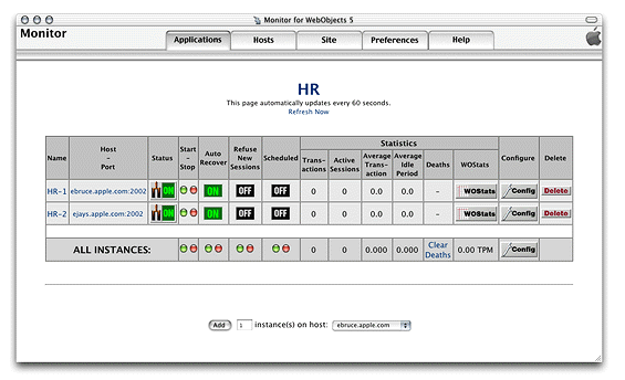 The application detail page with two instances added