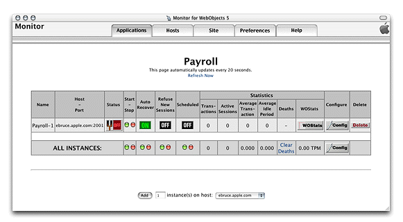 The application detail page after an instance has been added