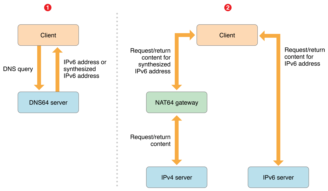 Supporting IPv6 DNS64\/NAT64 Networks