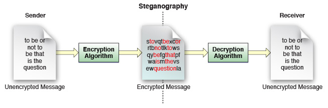 ../Art/security_steganography.jpg