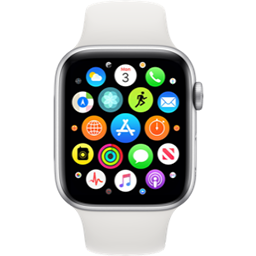 Beta apple 2024 watch os