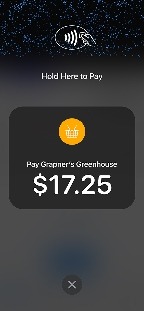 Apple's pay services explained and how to find and change payment