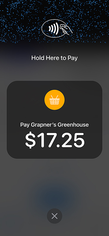 iPhone showing merchant page with purchase total, and 'Hold Here to Pay' instructions and icon.