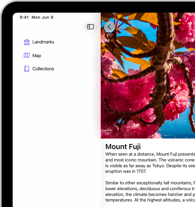 A screenshot of the leading side of an app on iPad. An image spans the upper part of the window, stopping at the edge of the sidebar.