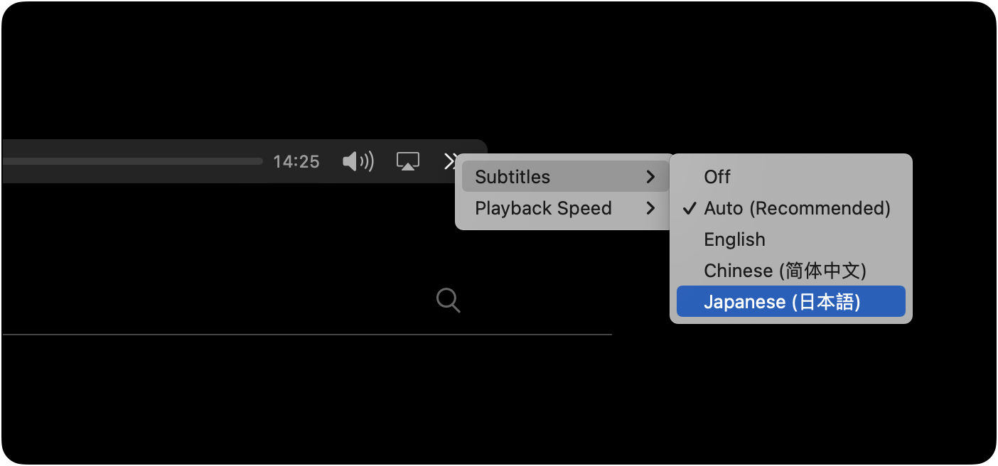 Screenshot of Subtitles menu
